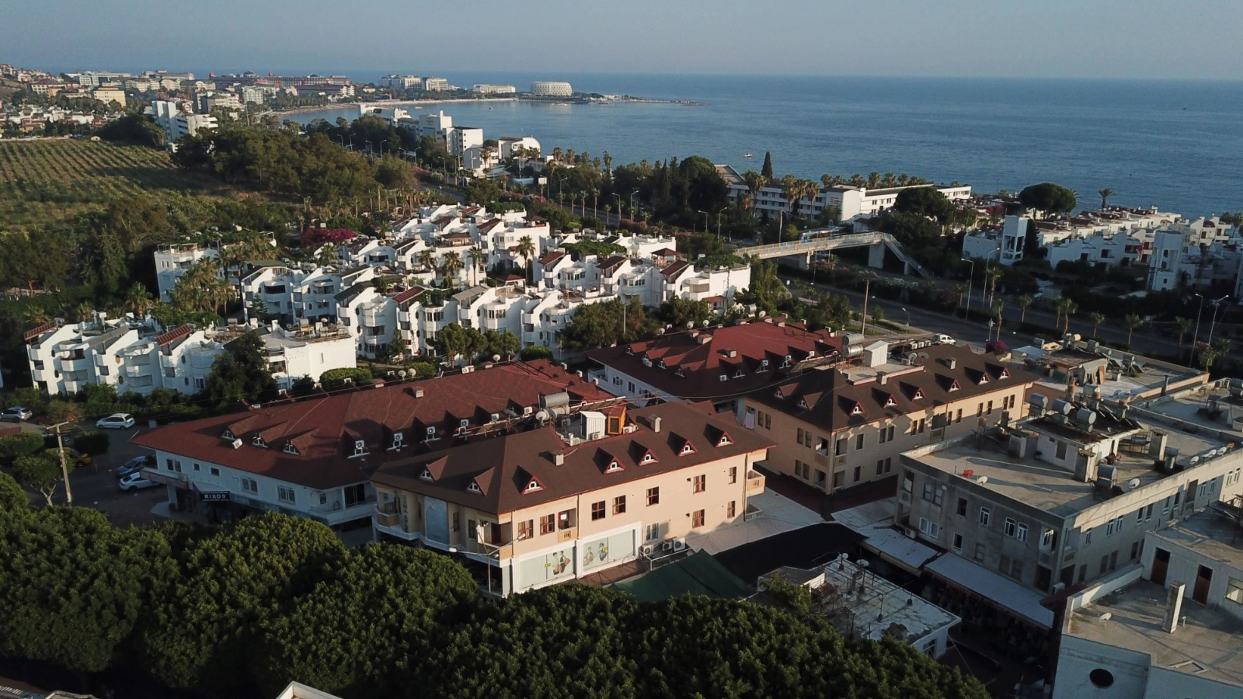 Gelişen Projeler ve İlk Başarılar